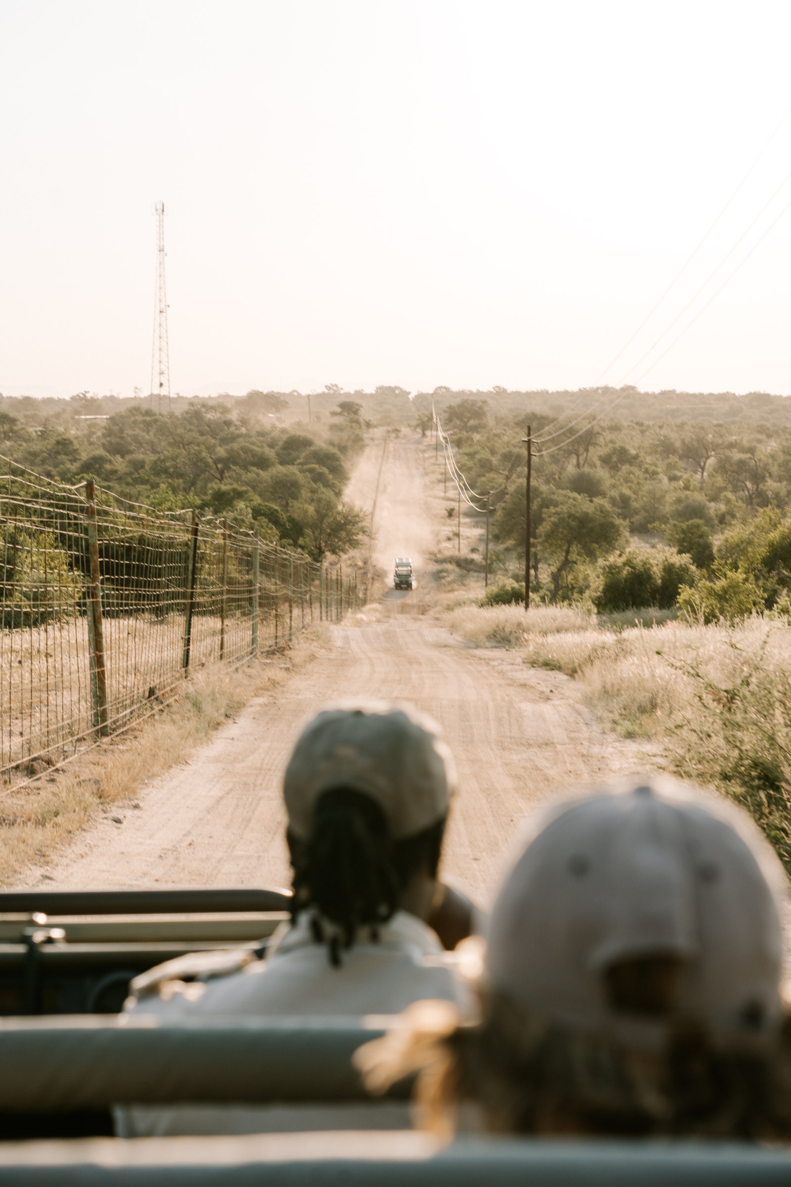 四輪駆動車のジープに座って開かれたほこりっぽい道路 南アフリカのクルーガー国立公園