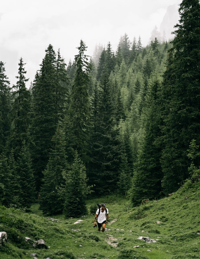 緑豊かな森の中を歩く男女。