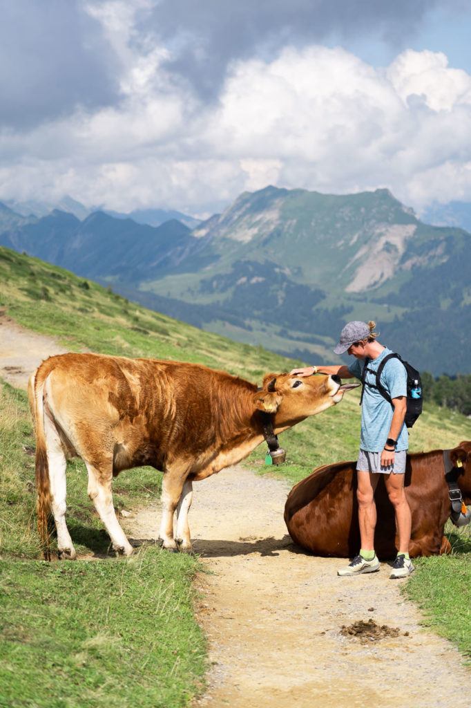 未舗装の道路で茶色の牛の隣に立つ男性。