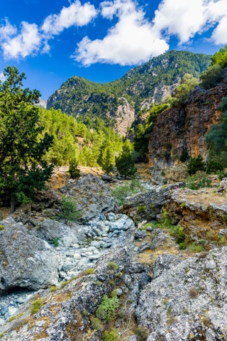 クレタ島のサマリア渓谷の松の木とそびえ立つ崖