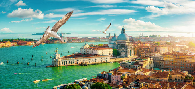 鳥、カモメ、ヴェネツィア、ベネチア、イタリア