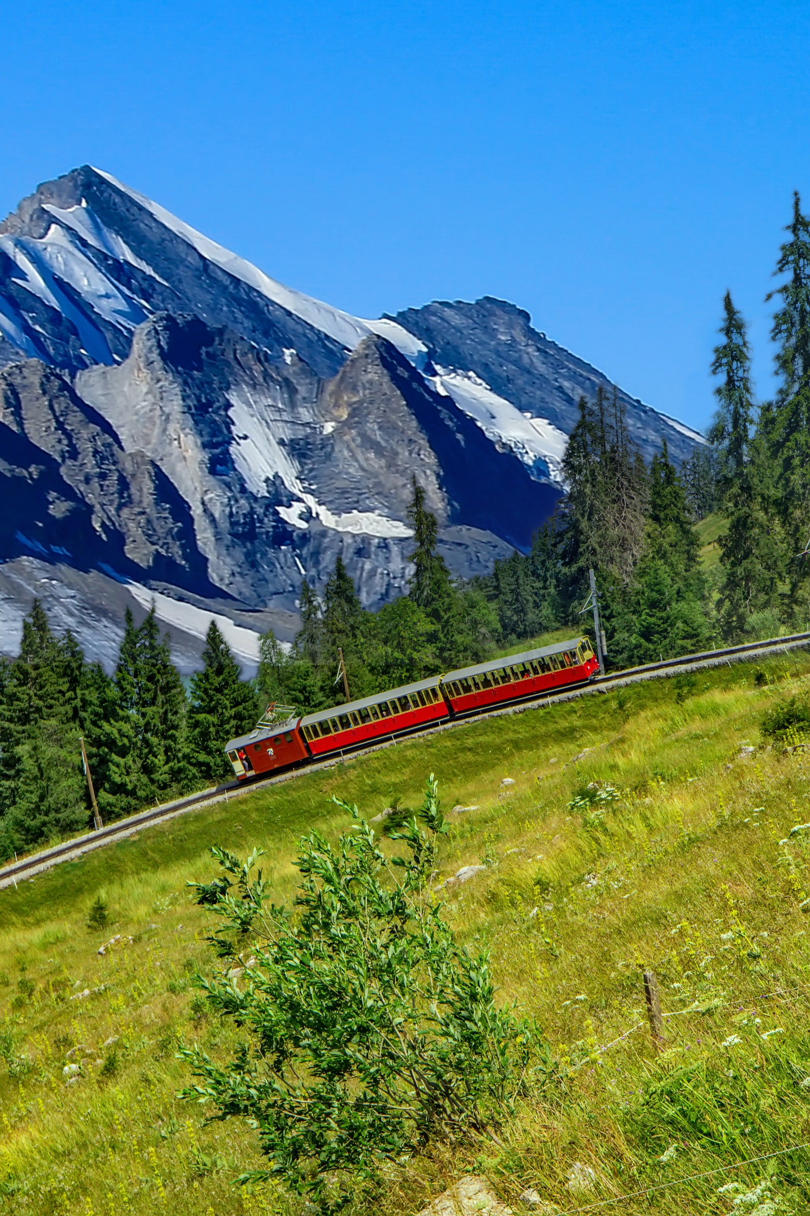 シーニゲ プラッテ鉄道は、スイスのベルナー高地地域にある登山鉄道です。