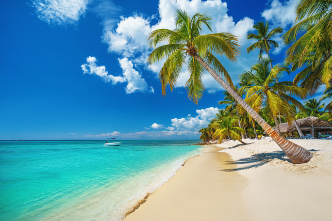 ドミニカ共和国、プンタ カナのトロピカル ビーチ