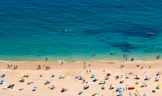 カラフルなパラソルが並ぶ熱帯ビーチからの航空写真。